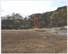  2025Ÿ��10451  ����