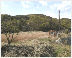  2025Ÿ��10451  ����