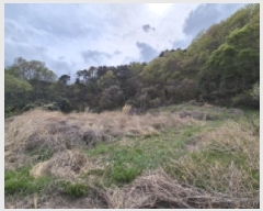  2025Ÿ��10451  ����