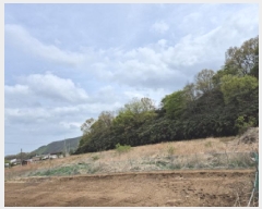  2025Ÿ��10451  ����