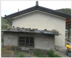  2025Ÿ��10455 ��� ���ֽ� �Ȱ��� ������ 1174      ���ð��