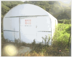  2025Ÿ��10503 ��� ���ֽ� �糲�� �Ŵ븮 153-1      ����(��)���