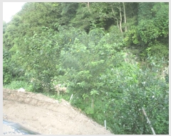  2025Ÿ��10503 ��� ���ֽ� �糲�� �Ŵ븮 153-1      ����(��)���