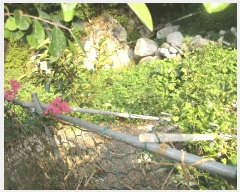  2025Ÿ��10503 ��� ���ֽ� �糲�� �Ŵ븮 153-1      ����(��)���