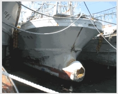  2025Ÿ��10519 ���� ���ʽ� ������ ������ 300      ���ڰ��