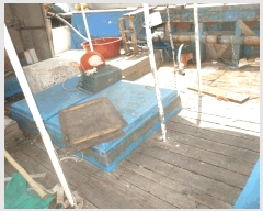  2025Ÿ��10519 ���� ���ʽ� ������ ������ 300      ���ڰ��