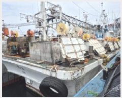  2025Ÿ��10519 ���� ���ʽ� ������ ������ 300      ���ڰ��