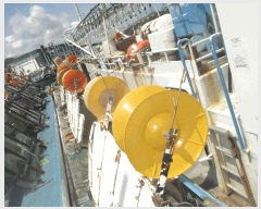  2025Ÿ��10519 ���� ���ʽ� ������ ������ 300      ���ڰ��