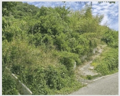  2025Ÿ��10523 ��� ���ֽ� �곻�� ���ϸ� 275      ����(��1)���