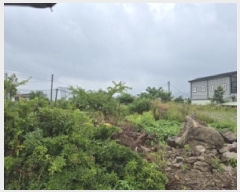  2025Ÿ��10567 ��� ���ֽ� ����� �ϱ��� 978      �������