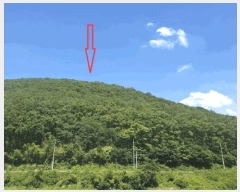  2025Ÿ��10571 ��� ���ֽ� ��õ�� ����� ��82-10      ����(�Ӿ�)���