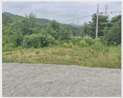  2025Ÿ��10591 ��� ���ֽ� �糲�� �Ŵ븮 23-6      ����(�Ӿ�)���