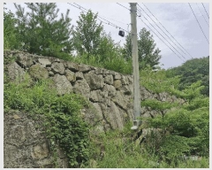  2025Ÿ��10591 ��� ���ֽ� �糲�� �Ŵ븮 23-6      ����(�Ӿ�)���