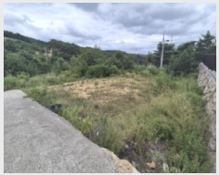  2025Ÿ��10591 ��� ���ֽ� �糲�� �Ŵ븮 23-6      ����(�Ӿ�)���