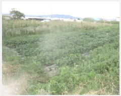  2025Ÿ��10607 ��� ���ֽ� �Ȱ��� ��븮 1694-1      ����(����)���