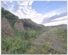  2025Ÿ��10671 ��� ���ֽ� õ���� ��266       ����(�Ӿ�)���