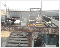  2025Ÿ101  ֽ  Ȱ踮 1674-1      ()