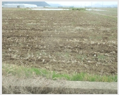  2025Ÿ101  ֽ  Ȱ踮 1674-1      ()