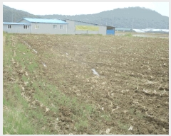  2025Ÿ101  ֽ  Ȱ踮 1674-1      ()