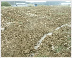  2025Ÿ101  ֽ  Ȱ踮 1674-1      ()