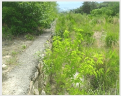  2025Ÿ��327  �Ӿ߰��