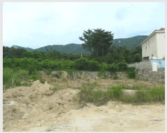  2025Ÿ��327  �Ӿ߰��