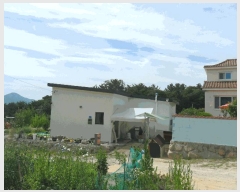  2025Ÿ��327  �Ӿ߰��