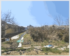  2025Ÿ347  ֽ  84       ,繫ǰ