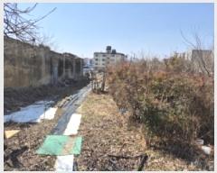  2025Ÿ347  ֽ  84       ,繫ǰ