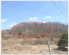  2025Ÿ367  ֽ 곻 ϸ 448-3      (Ӿ)