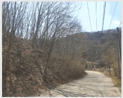  2025Ÿ367  ֽ 곻 ϸ 448-3      (Ӿ)