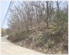  2025Ÿ367  ֽ 곻 ϸ 448-3      (Ӿ)