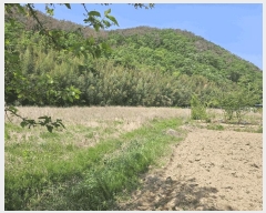  2025Ÿ��391 ��� ���ֽ� ������ ������ 462      ����(��1)���