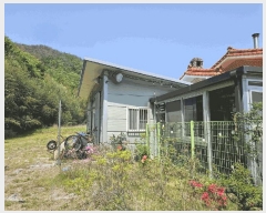  2025Ÿ��391 ��� ���ֽ� ������ ������ 462      ����(��1)���