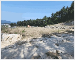  2025Ÿ399  ֽ  86-11       (Ӿ)