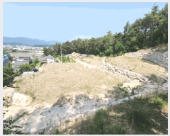  2025Ÿ399  ֽ  86-11       (Ӿ)