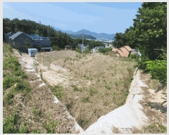  2025Ÿ399  ֽ  86-11       (Ӿ)