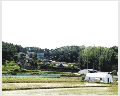  2025Ÿ399  ֽ  86-11       (Ӿ)