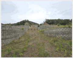  2025Ÿ��423 ��� ���ֽ� �糲�� ȯ���� 1012-1      ����(�Ӿ�)���