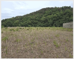  2025Ÿ��423 ��� ���ֽ� �糲�� ȯ���� 1012-1      ����(�Ӿ�)���