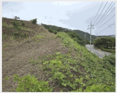  2025Ÿ��423 ��� ���ֽ� �糲�� ȯ���� 1012-1      ����(�Ӿ�)���