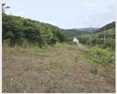  2025Ÿ��423 ��� ���ֽ� �糲�� ȯ���� 1012-1      ����(�Ӿ�)���