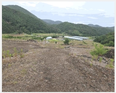  2025Ÿ��423 ��� ���ֽ� �糲�� ȯ���� 1012-1      ����(�Ӿ�)���