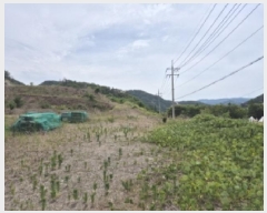  2025Ÿ��423 ��� ���ֽ� �糲�� ȯ���� 1012-1      ����(�Ӿ�)���