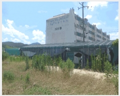  2025Ÿ��427 ��� ���ֽ� �Ȱ��� �ٰ踮 35-1      ����(��1)���