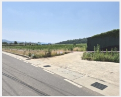  2025Ÿ��427 ��� ���ֽ� �Ȱ��� �ٰ踮 35-1      ����(��1)���