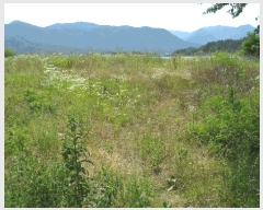  2025Ÿ431  ֽ õ ô 777-2      ()