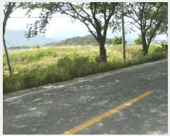  2025Ÿ431  ֽ õ ô 777-2      ()