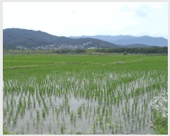  2025Ÿ431  ֽ õ ô 777-2      ()