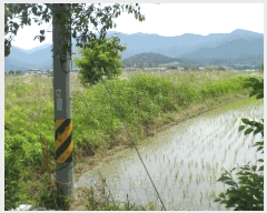  2025Ÿ431  ֽ õ ô 777-2      ()